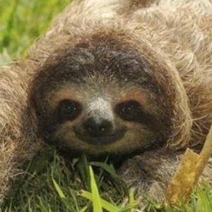 Meet your Posher, Tristen